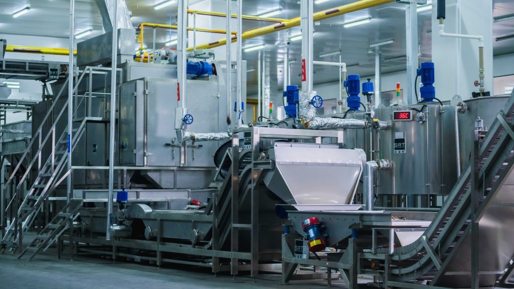 Three Squirrels_SSW05892