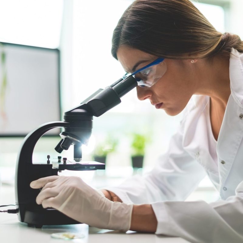 Young scientist doing a research