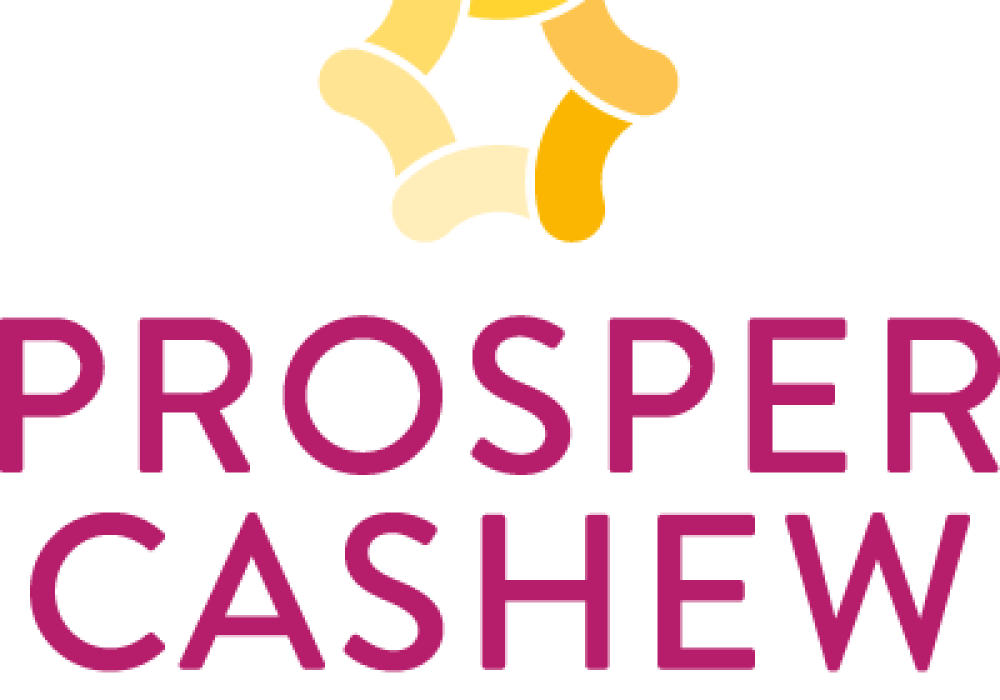 technoserve-prosper_cashew