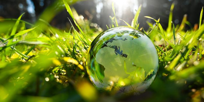 New year green glass globe sphere earth ball europe and asia world with green leaves and morning sunlight in forest - sustainable environment and ecology earthball.